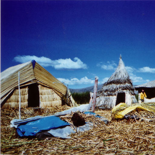Home